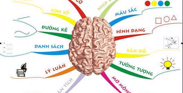 Não nhận biết xử lý mọi thông tin trong cuộc sống.
